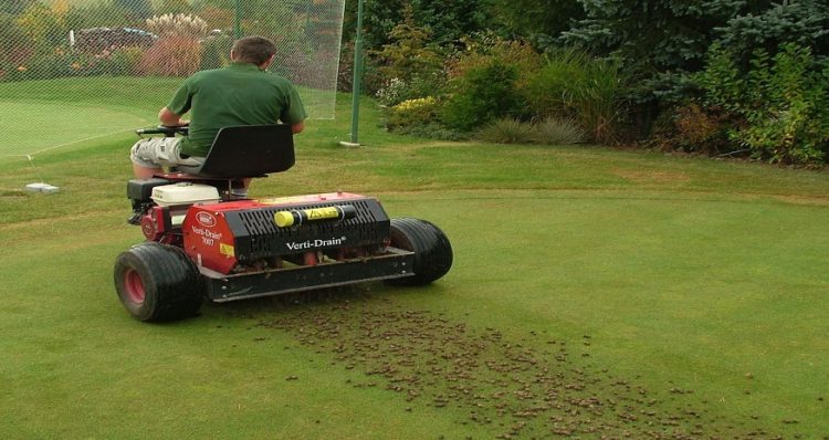Plug Aeration Helps Your Lawn?